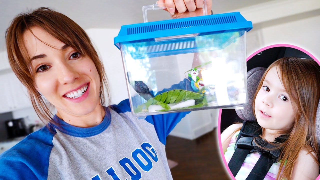 A New Pet and New Haircuts!?