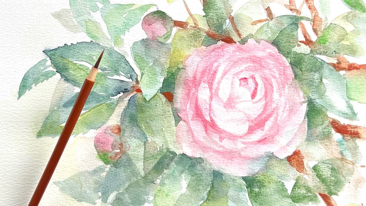 [水彩画]八重咲きのツバキの花を描く/watercolorpainting /制作過程