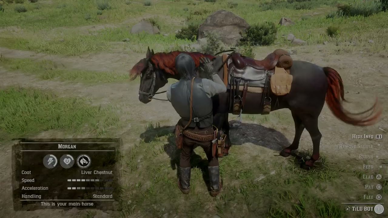 Red Dead Redemption 2_PS4PRO