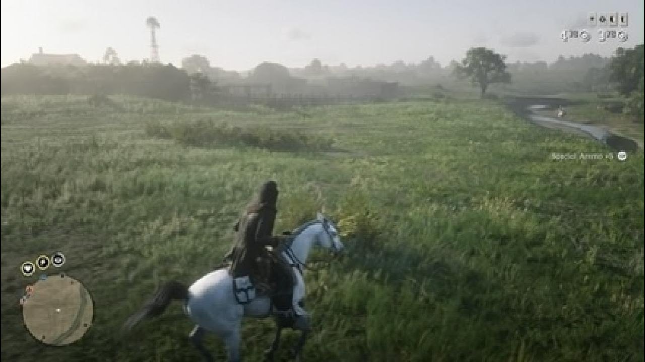 Red Dead Redemption 2 with friends