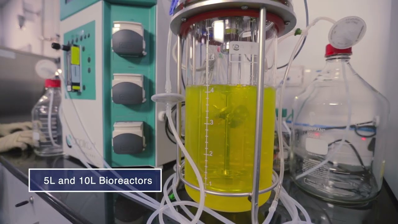 Kemwell Process Development