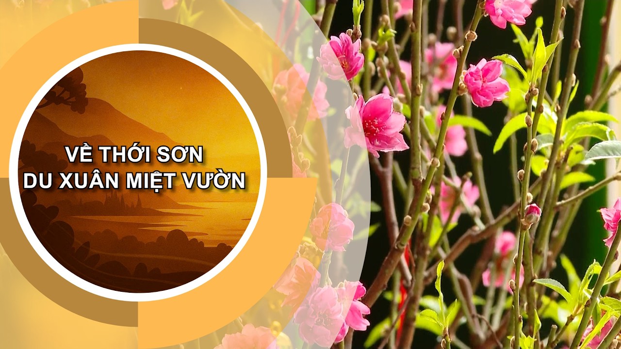 VỀ THỚI SƠN DU XUÂN MIỆT VƯỜN