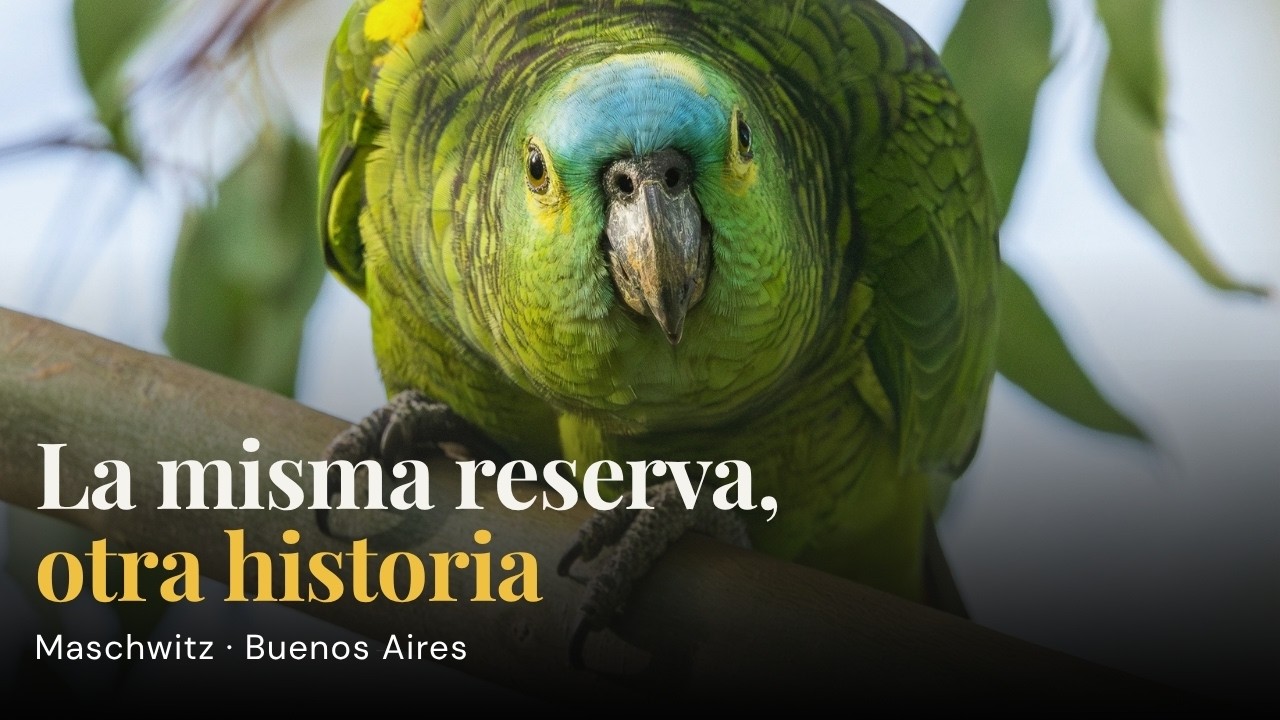 La misma reserva, distintos encuentros | Verano en Maschwitz