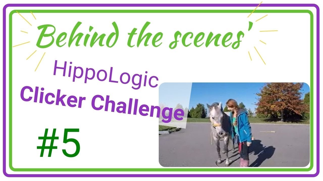 HippoLogic Clicker Challenge October training session 5 *behind the scenes* of my training