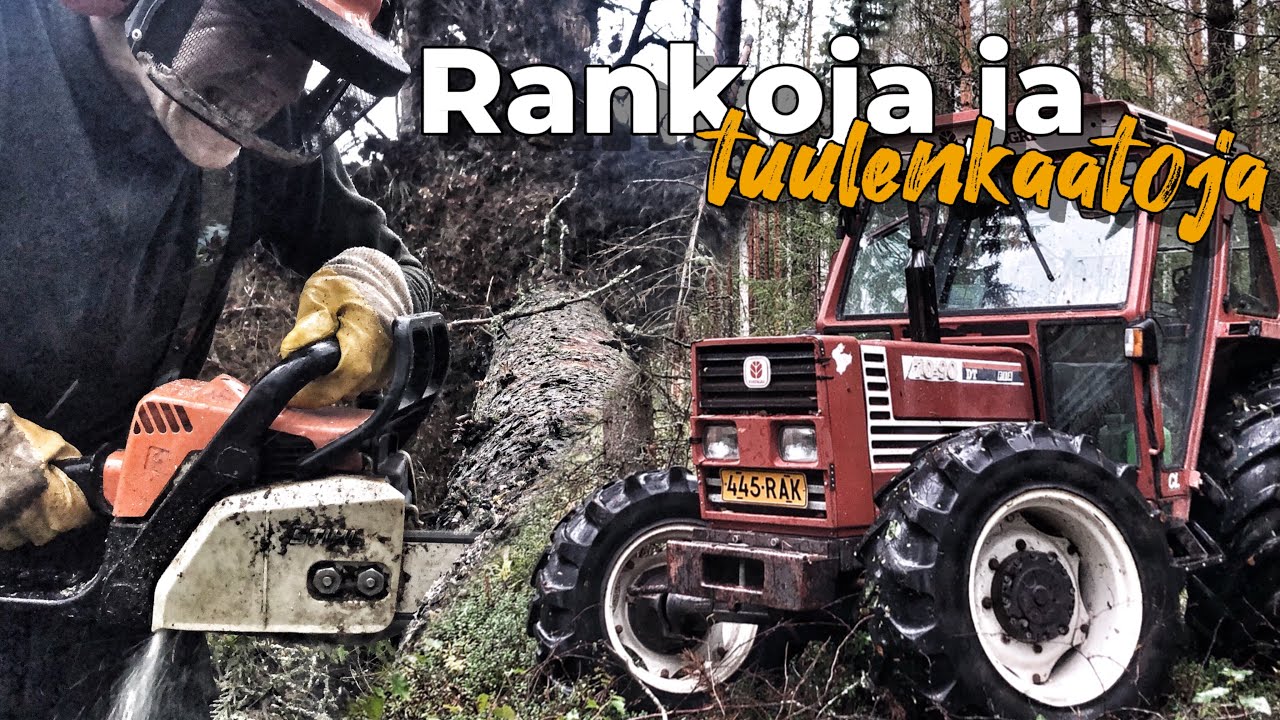 Polttopuu savottaa - rankoja ja suuria tuulenkaatoja