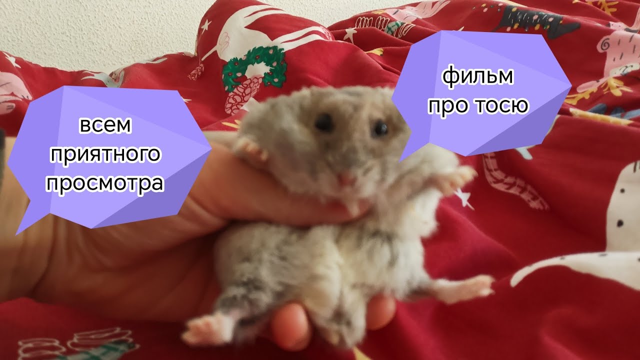 ТОСЬМАН | фильм про Тосю | полный фильм|