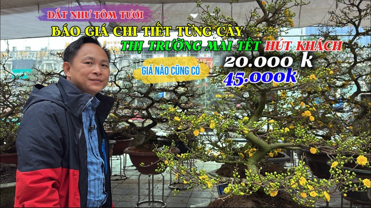 “RA VỀ TAY TRẮNG” 4 ngày 10 cây, thị trường nóng bỏng chậm là hết, giá cao vẫn hết.. | Quảng Tùng