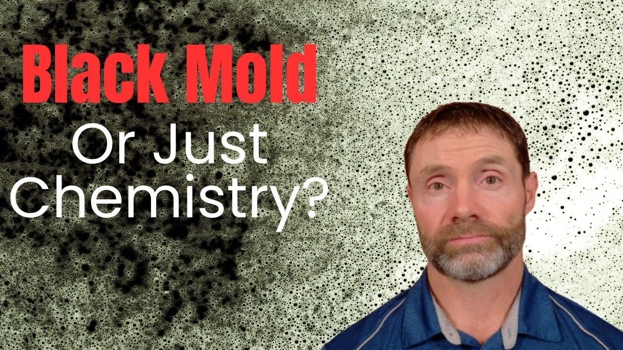 When Ingredient Fear Replaces Evidence (Citric Acid & Magnesium Stearate)
