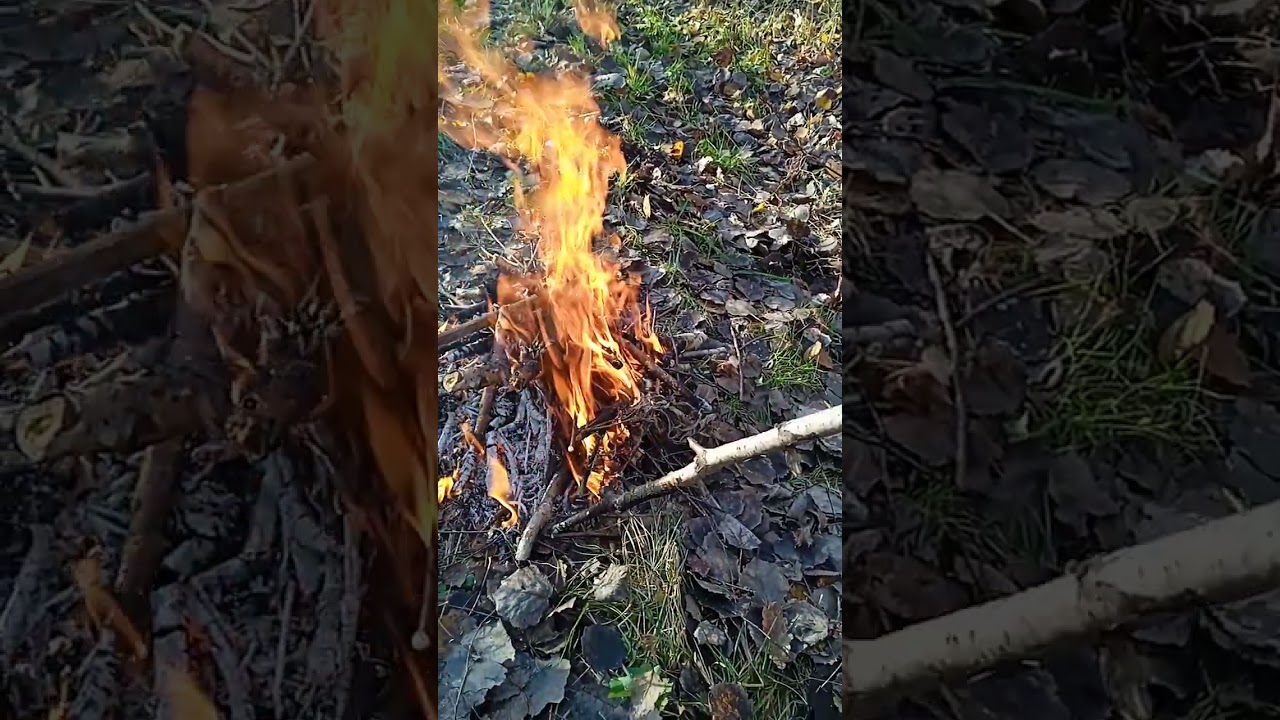 Развожу костёр в лесу и не только.