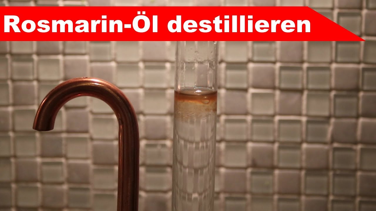 🌷 Frischen Rosmarin destillieren 🌻 - ätherisches Rosmarin-Öl selber machen Teil 1 - diSTILLed