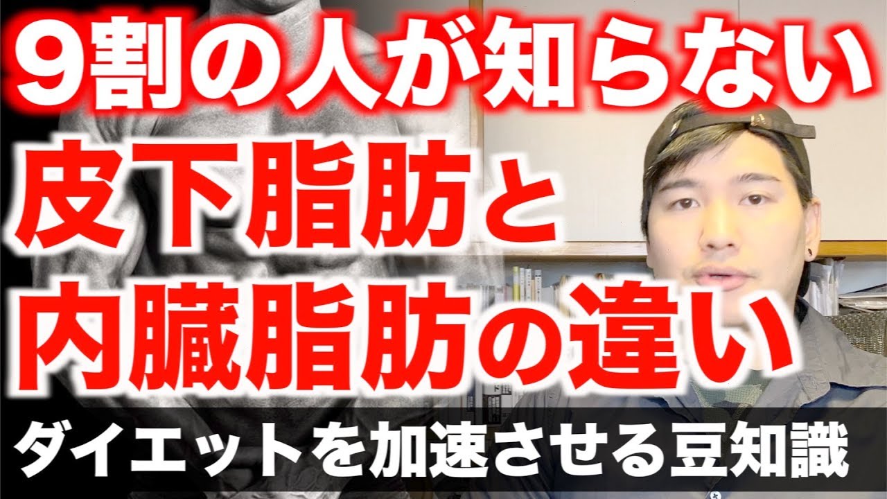 【9割の人が知らない】内臓脂肪と皮下脂肪の特徴を解剖生理学的にわかりやすく解説します。
