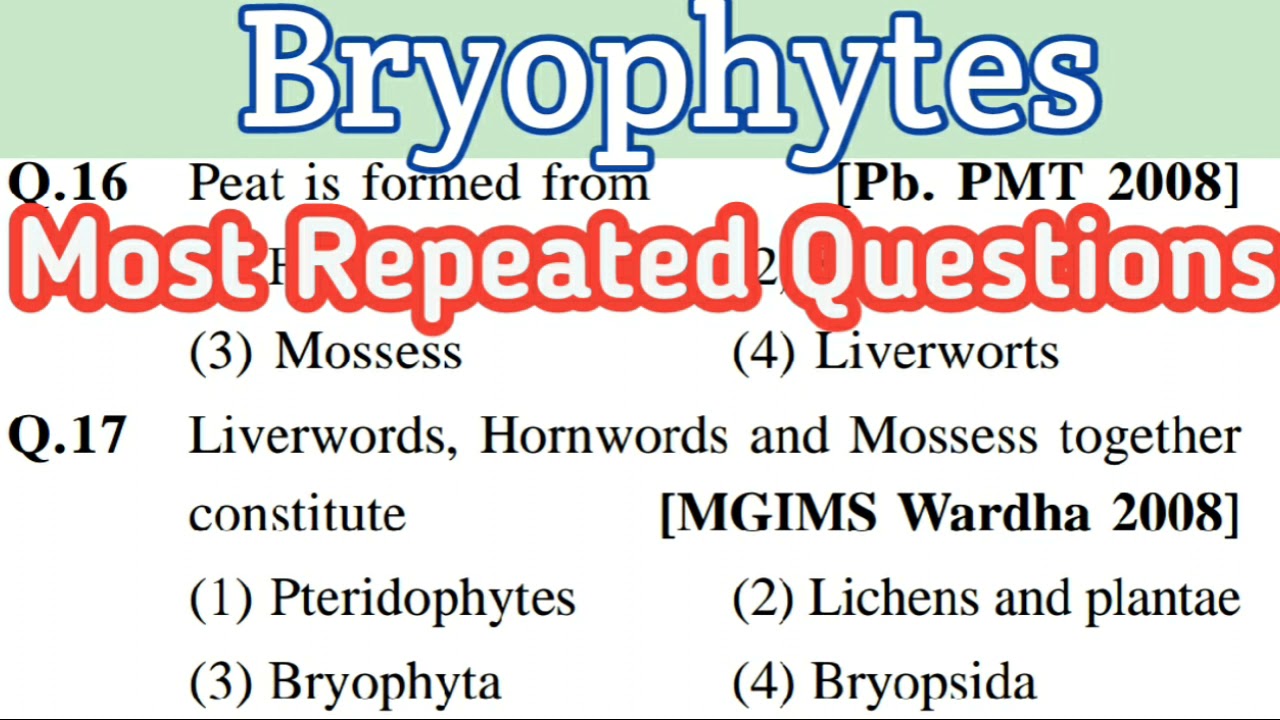 bryophytes || bryophytes mcq || plant kingdom mcq || most repeated questions (22)