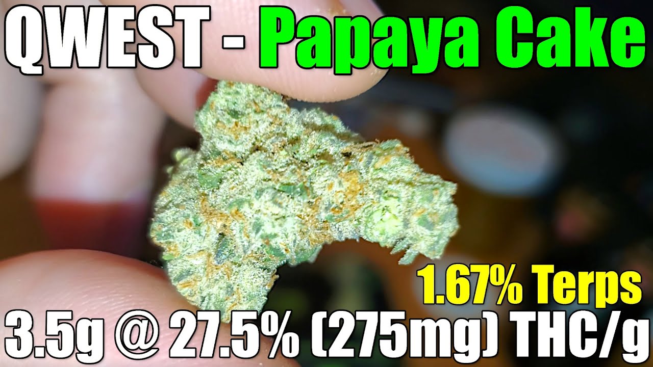 QWEST - Papaya Cake - Unboxing Review - 3.5g @ 27.5% (275mg) THC/g | 1.67% Terps (+Extreme Closeups)
