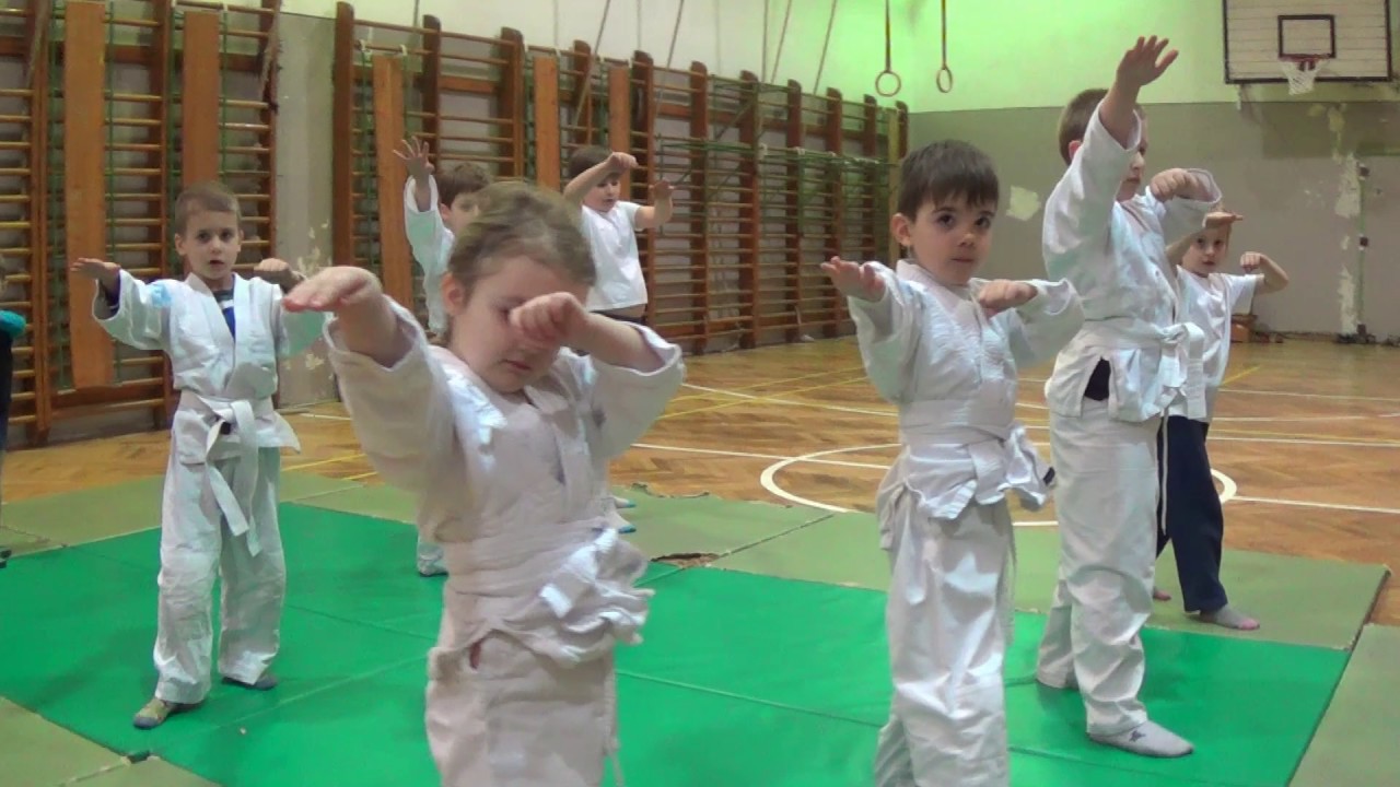2017 Judo edzésbemutató Tá 16,01