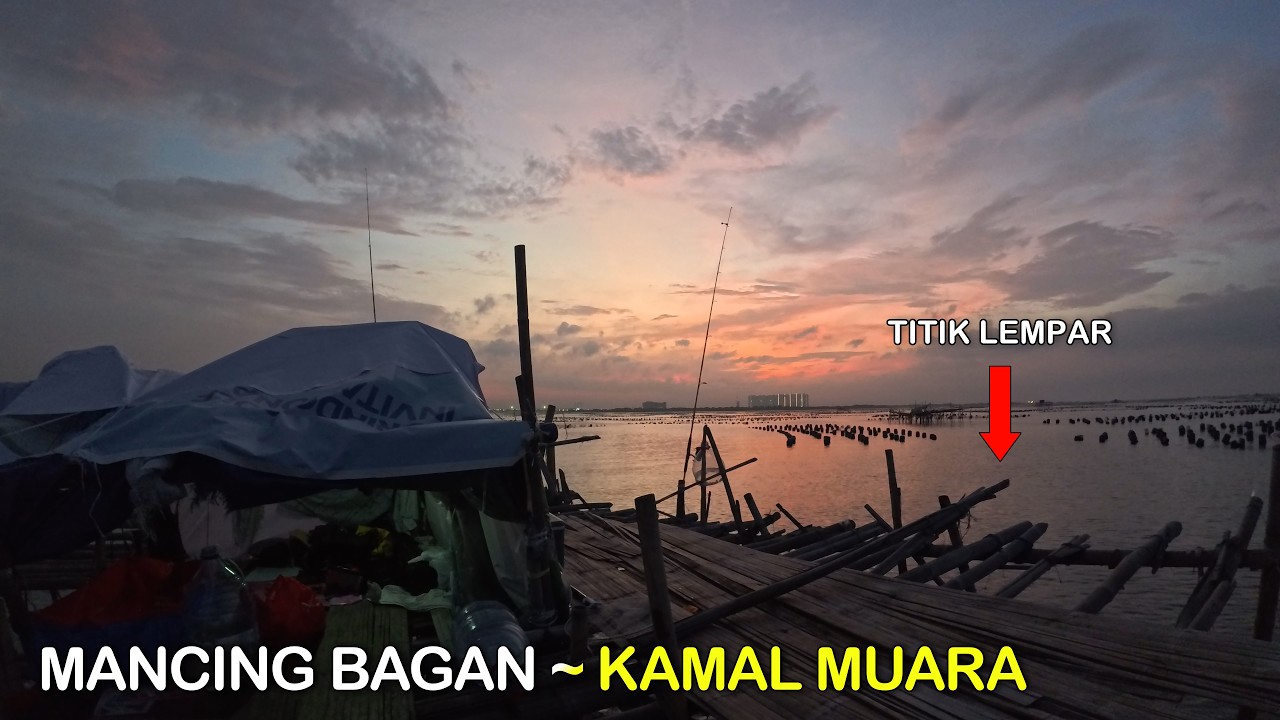 Mancing Ikan Di Bagan Samsul Kamal Muara || Mancing Gaes