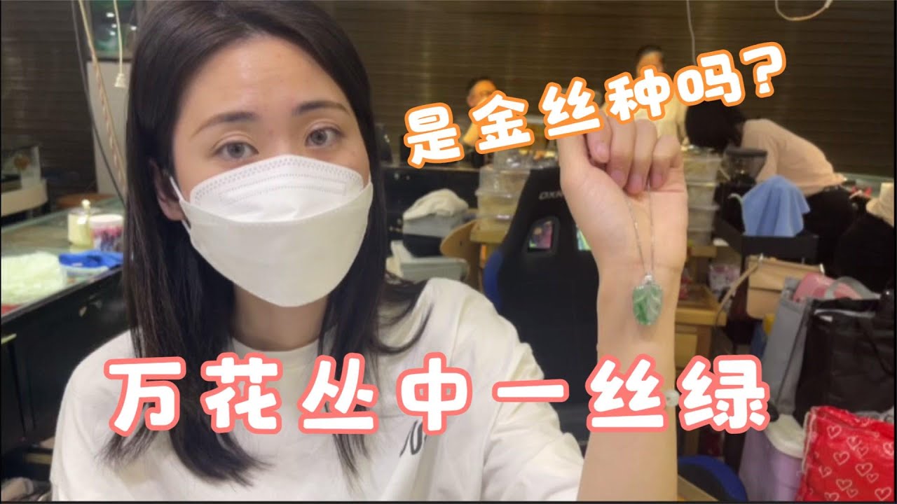 金丝种有真亦有假，万花丛中的一丝绿到底能不能叫金丝种？