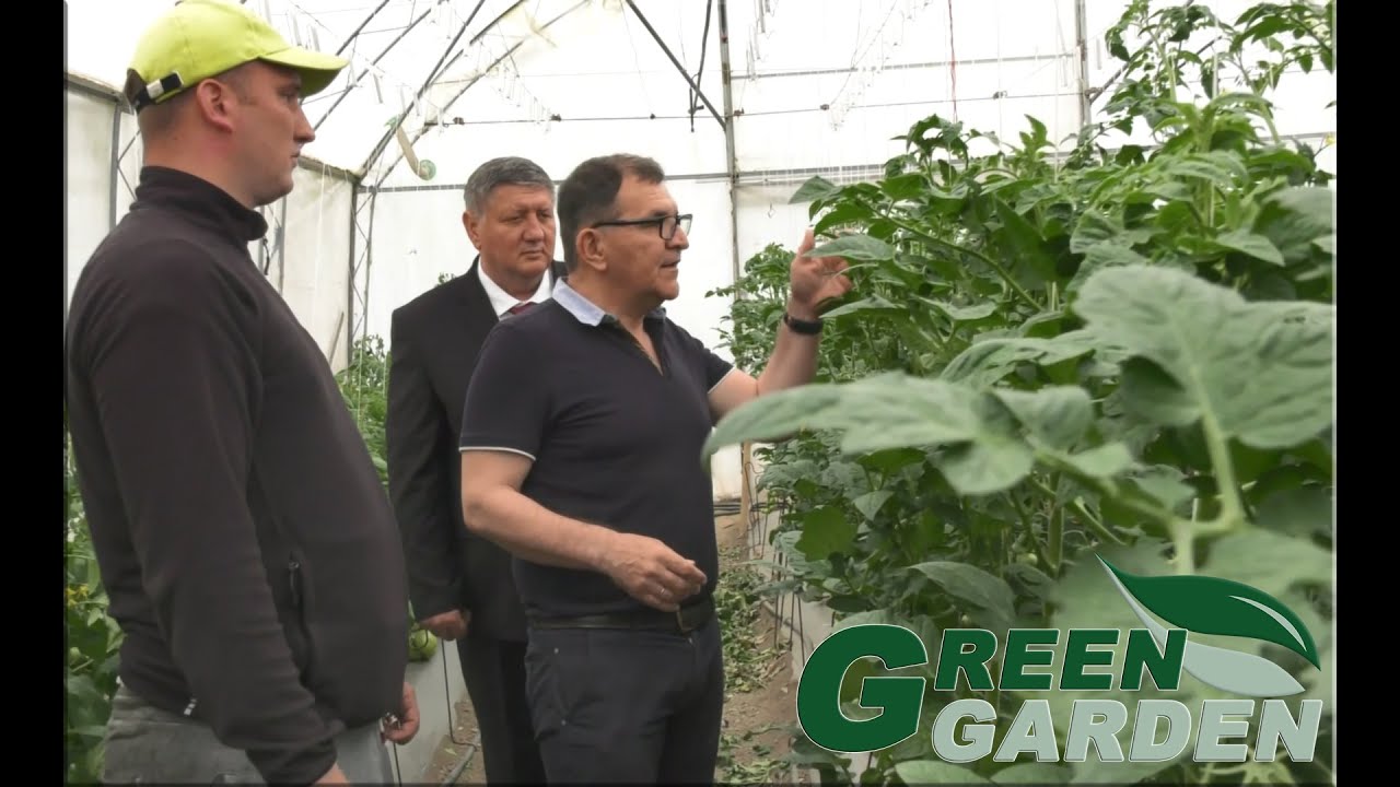 🟢 Green Garden - Integralni i organski sistem gajenja paradajza (E005)