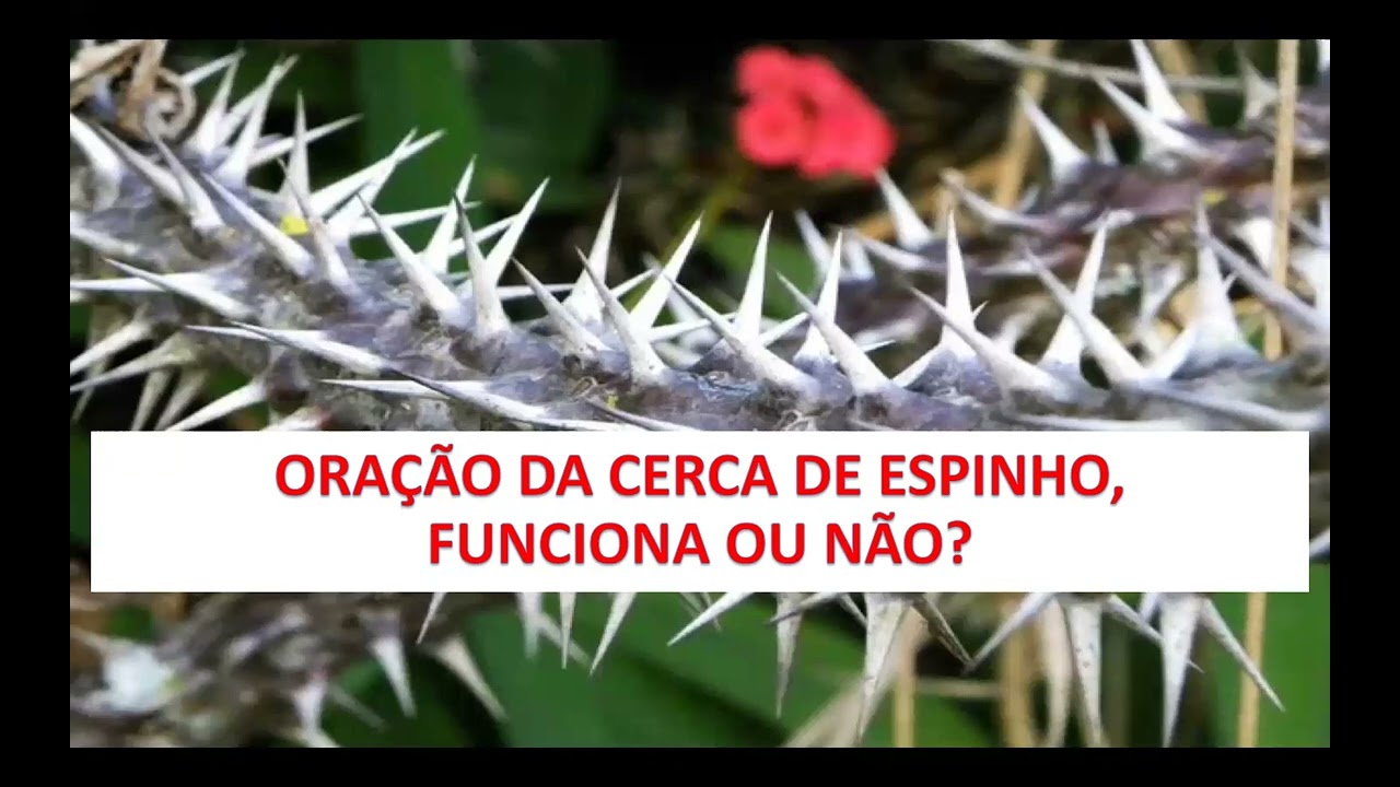 Oração da Cerca de Espinhos, funciona ou não?