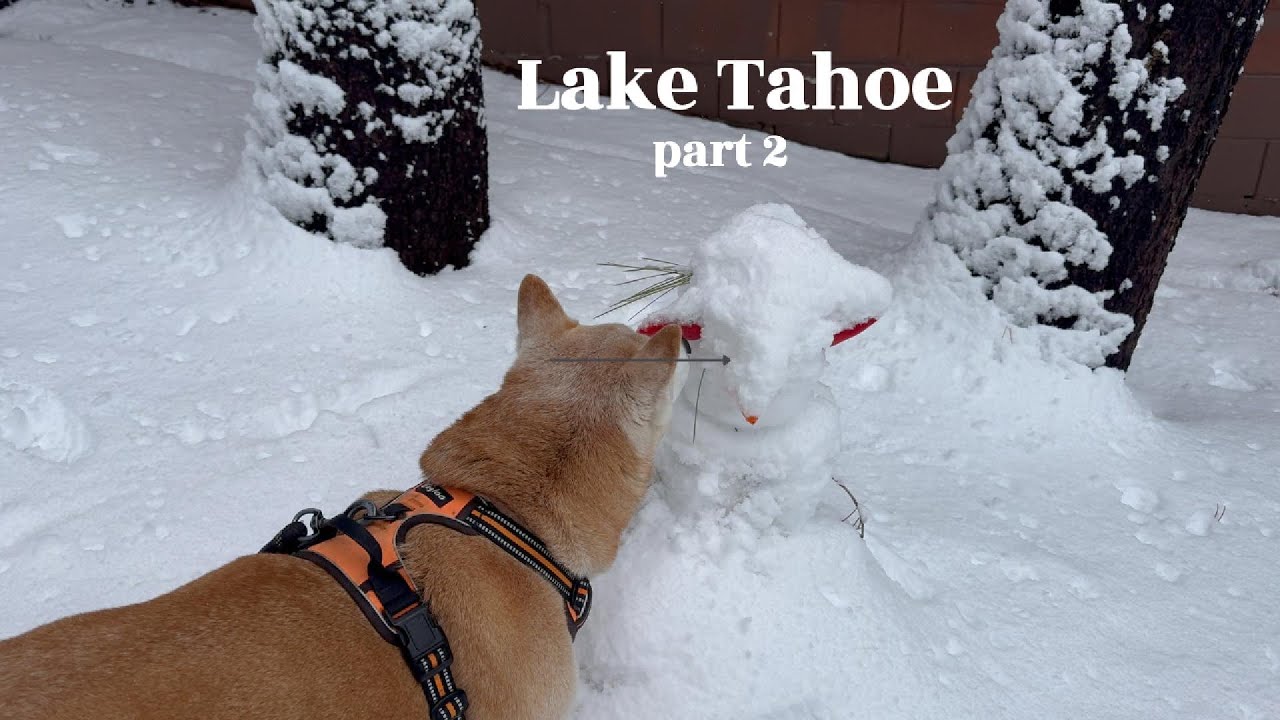 lake tahoe adventures // dec 2025 [part 2]