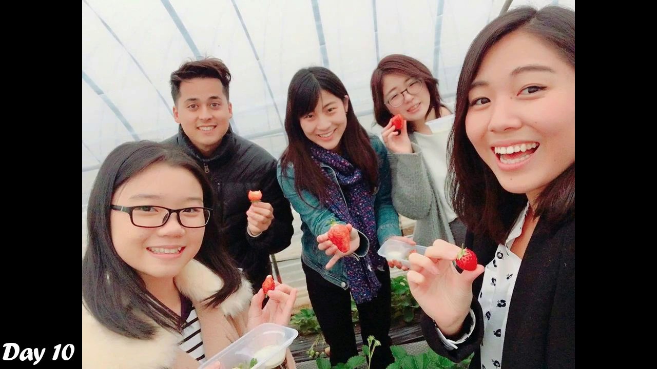 AFS Japan Exchange: First 10 days in Japan!