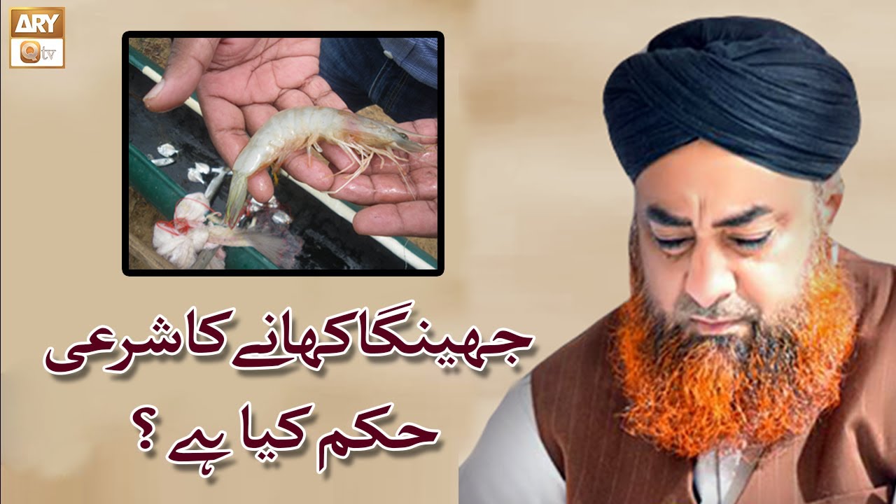 Kia Jheenga (Prawns) Khana Jaiz Hai? | Is Prawn Halal In Islam ? | Mufti Akmal | ARY Qtv