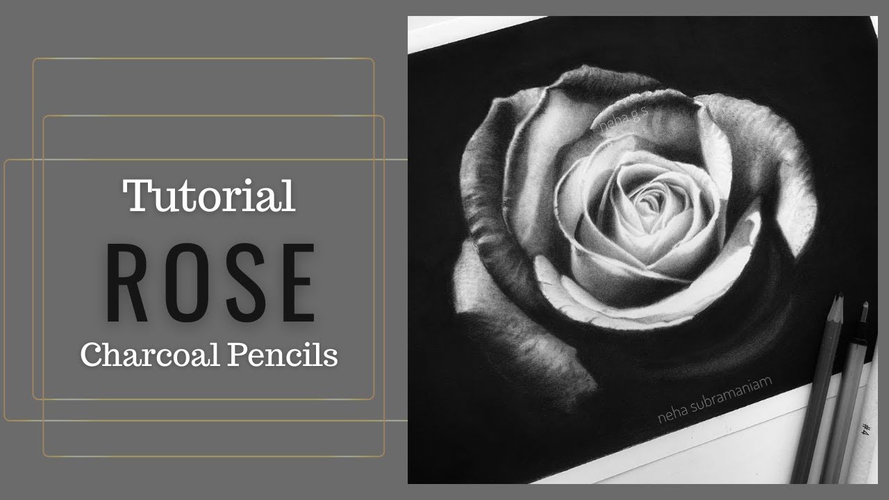 How to draw Rose with Charcoal Pencils