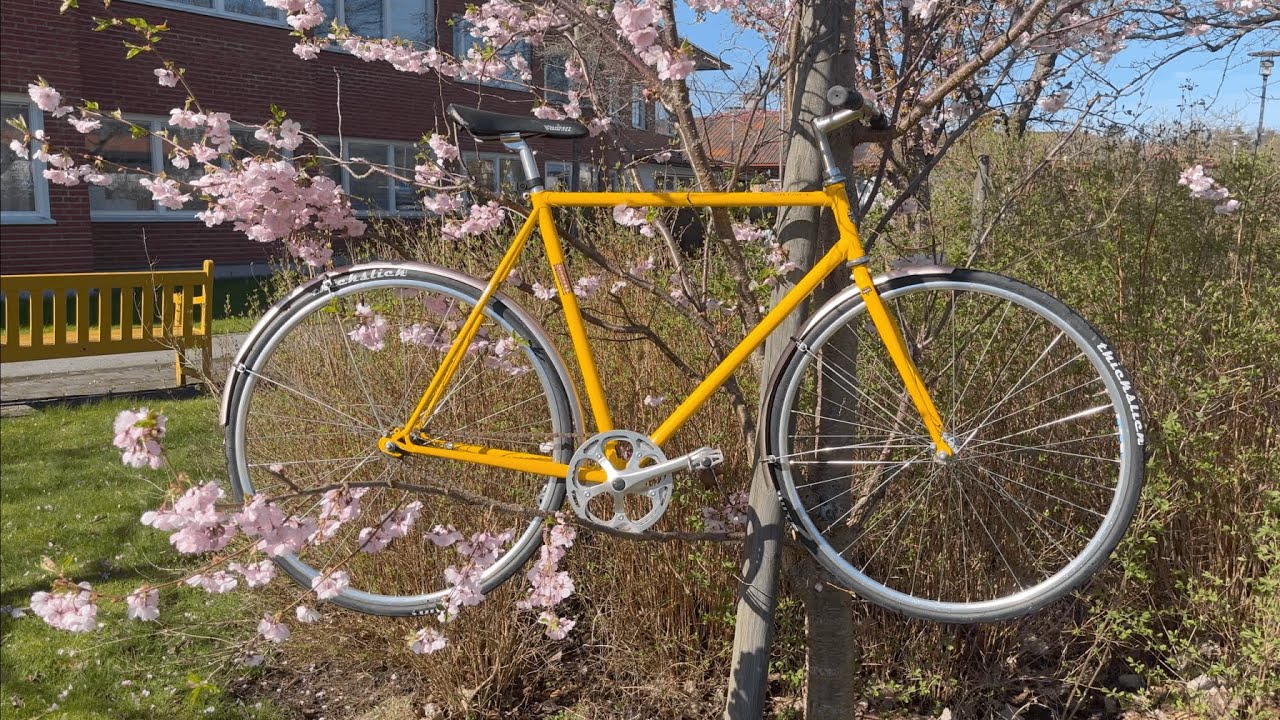 Pink tree, yellow bicycle