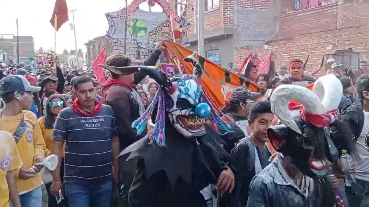 Carnaval Charo 2023 || Desfile de toritos 🥳