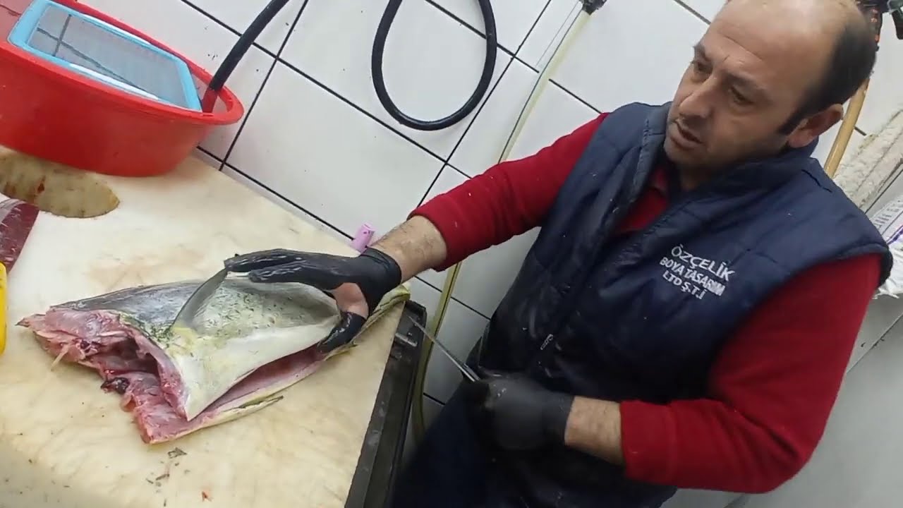 PAPAĞAN (lambuka) balığı kılçıksız temizleme