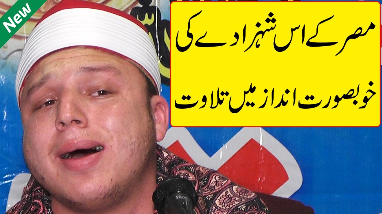 Qari Sheikh Mahmood Al Syed Abdullah Misri | Heart Touching Tilawat Quran Pak