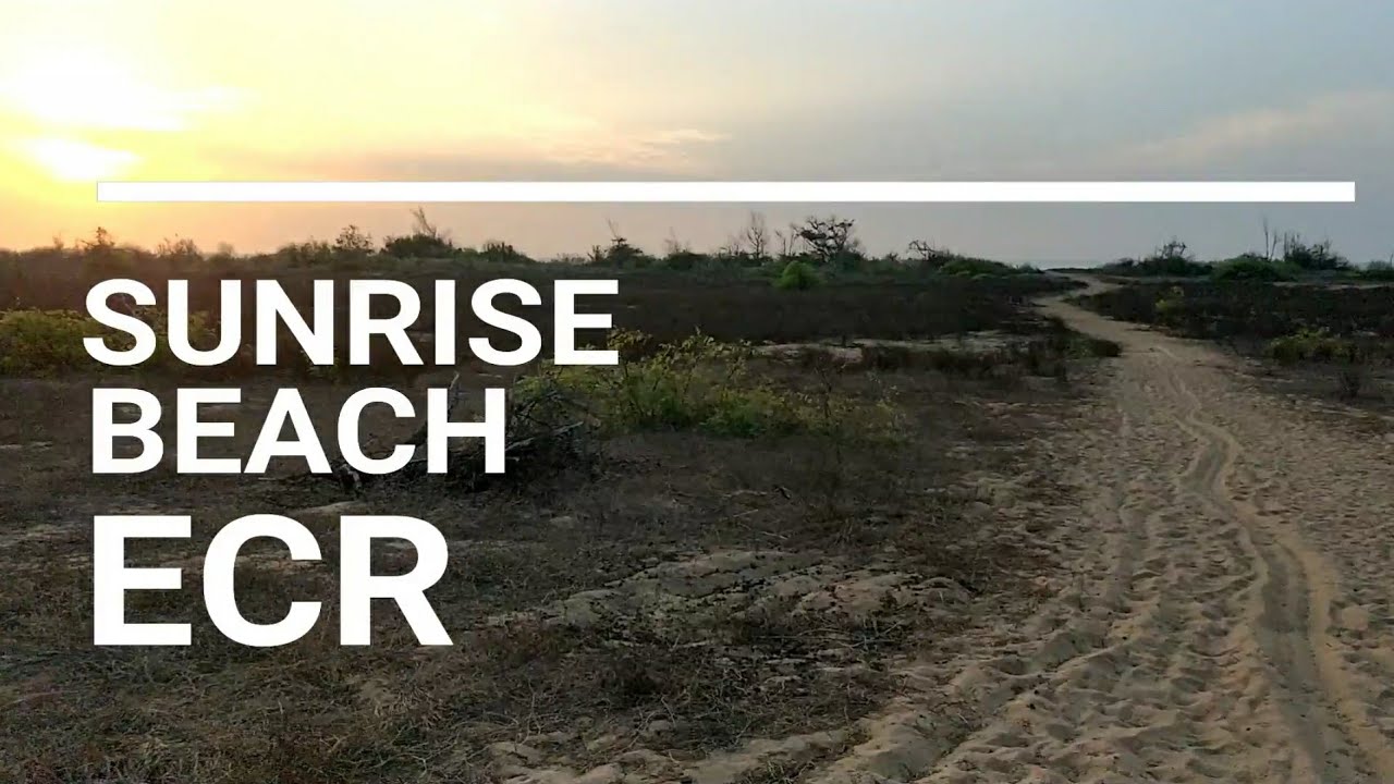 SUNRISE BEACH | ECR