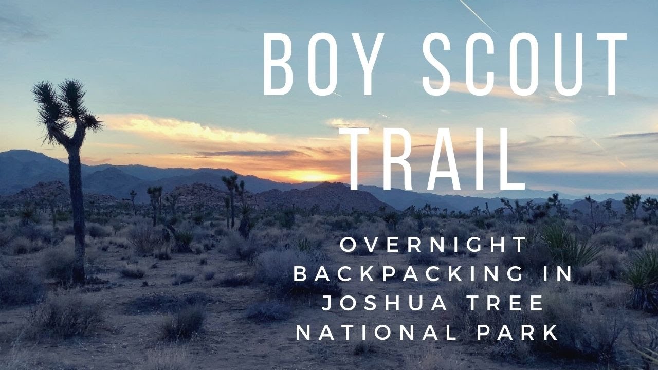 Overnight Backpacking at Boy Scout Trail in Joshua Tree NP
