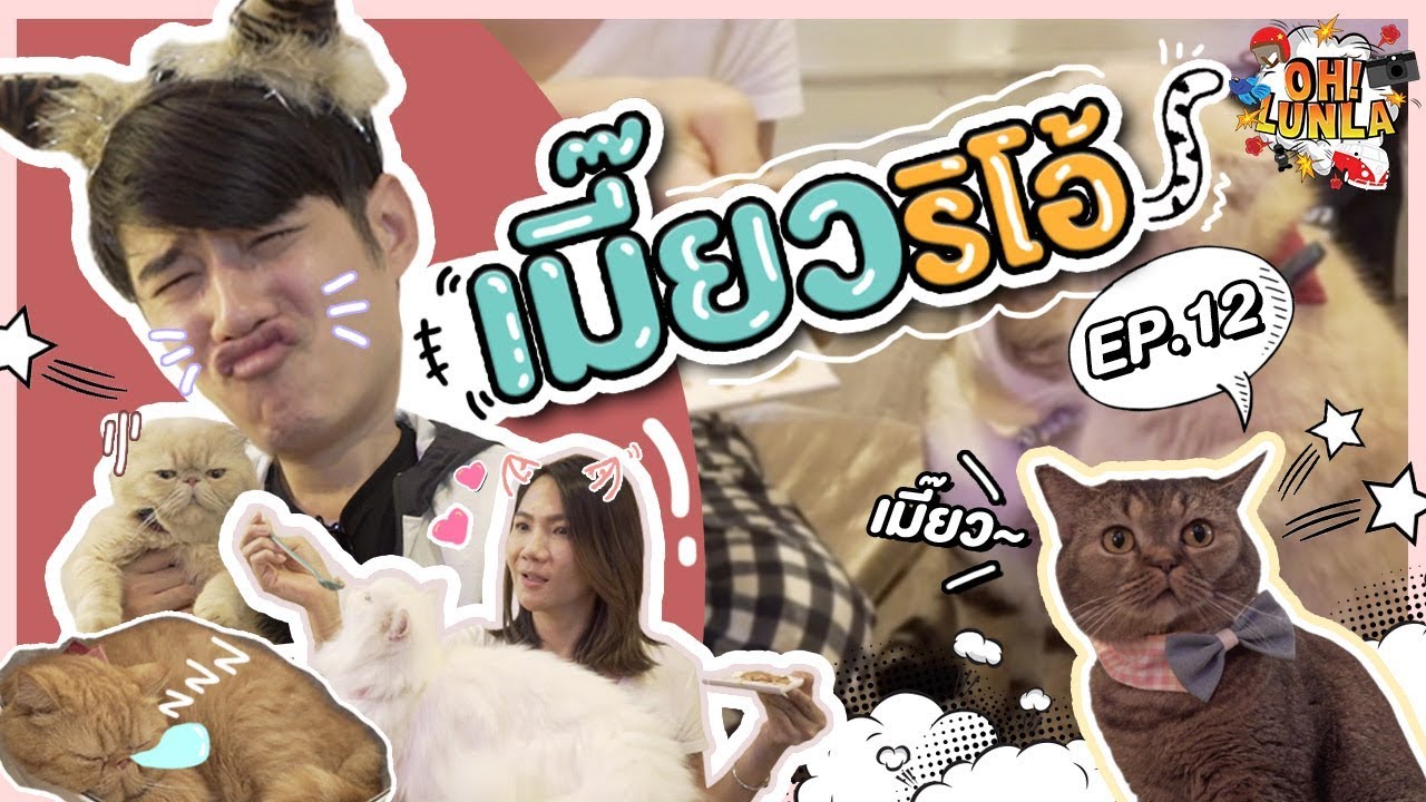โอ้ลั้นลา : OH Lunla EP.12 : เจ้าแมวแสนน่ารัก เมี๊ยวเอยกรุบ