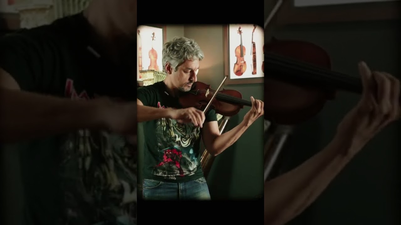 Violino Silvio Tua - Modelo Nicolò Amati | HPG Musical @calligop #shorts