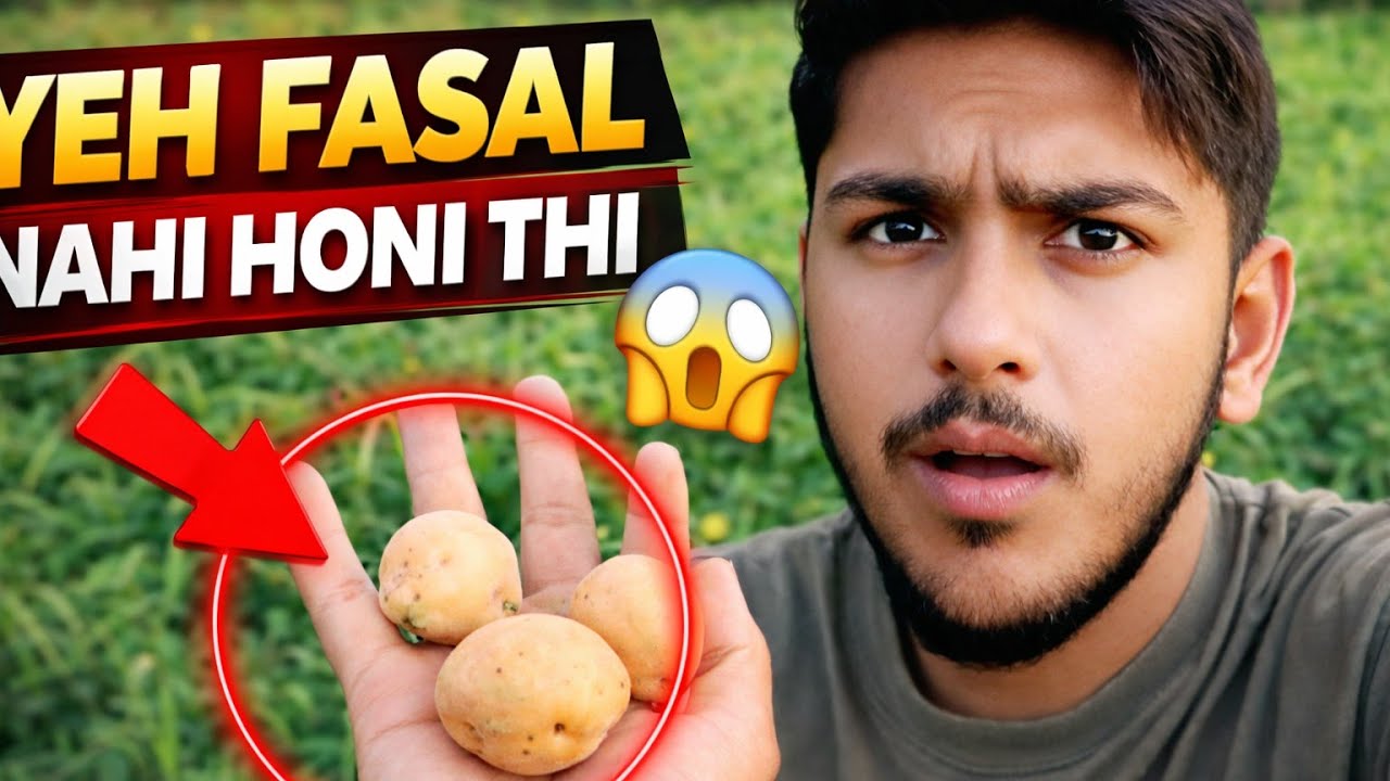 Gaon Ke Kheton Mein Iss Baar Yeh Kya Ho Gaya 😱 | Fasal Ne Sabko Dara Diya