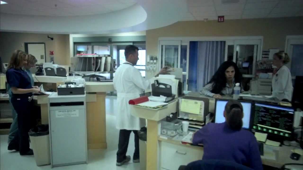 DL 7: 