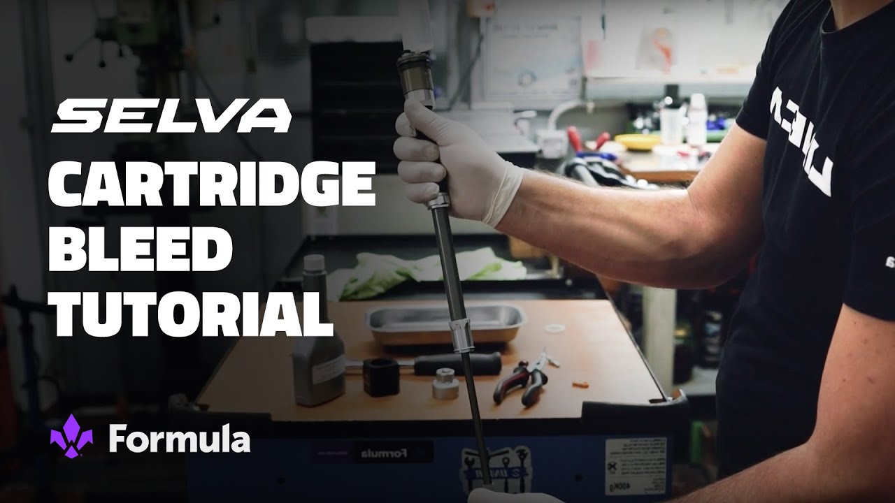 Selva cartridge bleed procedure
