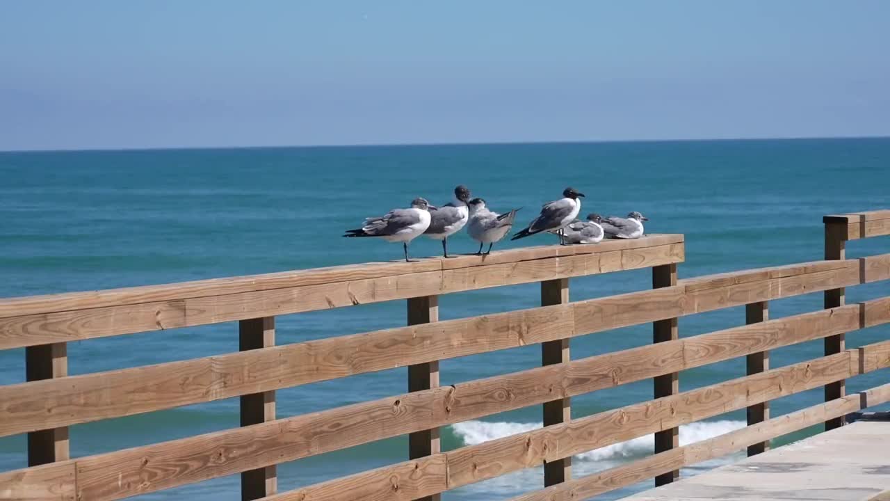 Bob Hall Pier will be free for 90 days, then fees return to decade-old pricing