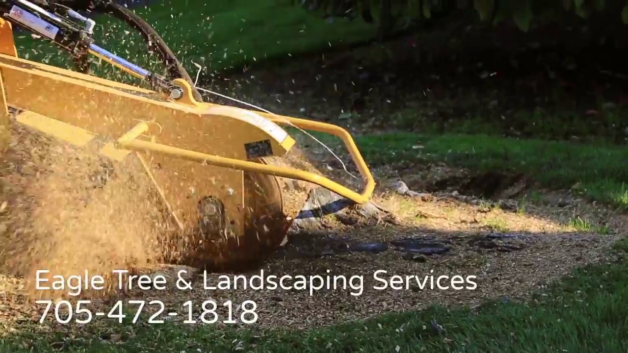 Tree Stump Grinding & Chipping North Bay, ON - Eagle Tree & Landscaping Services 705-472-1818