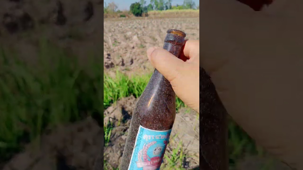 ทางไปนา อาจเป็นทางกลับบ้านของบางคน