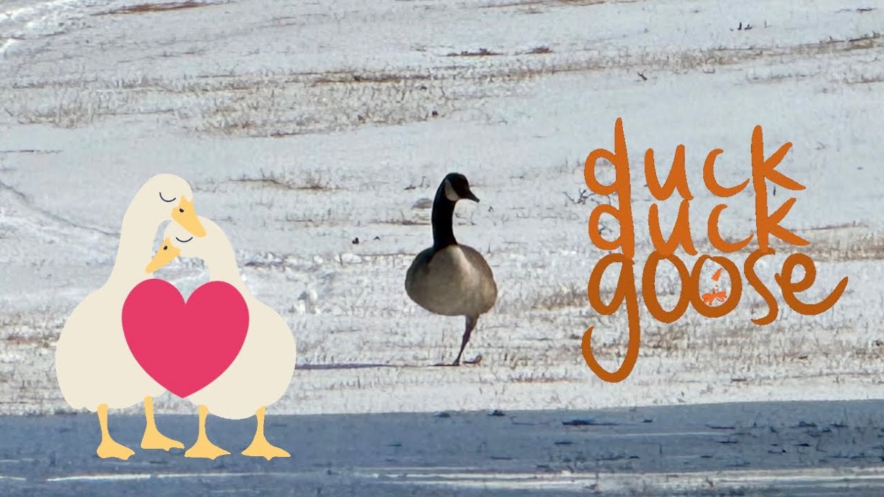 A fun day running around Henry County, Virginia.  See what we saw and the snow we got!