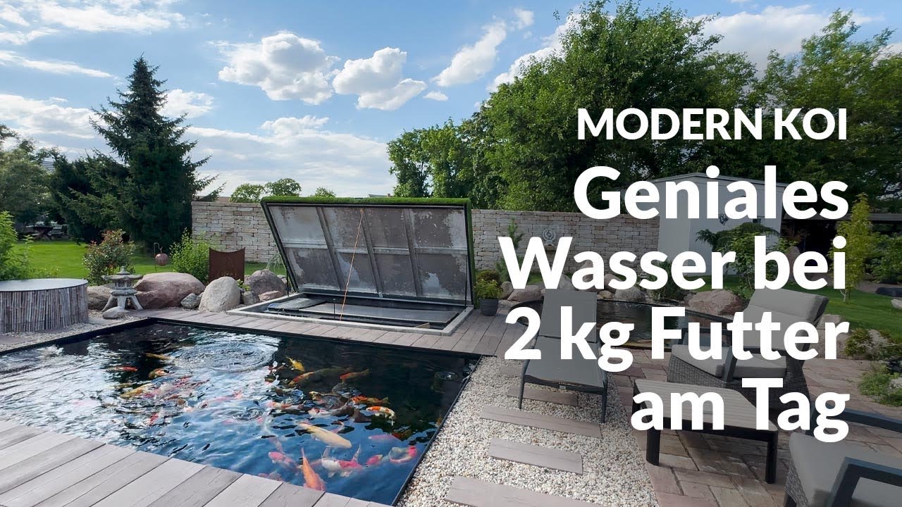 So filtert Matze sein Wasser auf Topniveau | Modern Koi Blog #6769