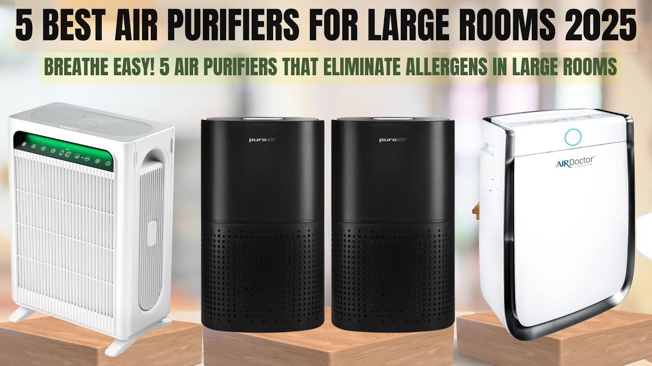 Breathe Easy! 5 Air Purifiers That ELIMINATE Allergens in Large Rooms.
