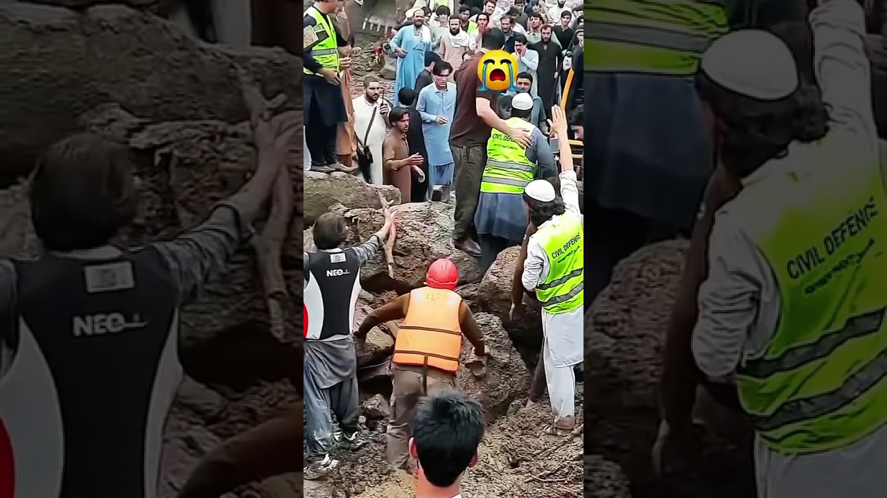 Swat selab song