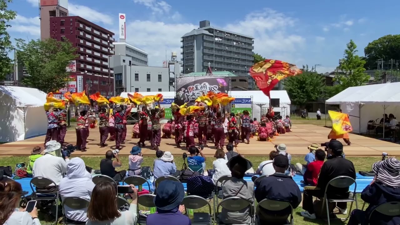 肥後真狗舞〜九州がっ祭〜 [黒崎よさこい祭り 2024.05.19(日)]
