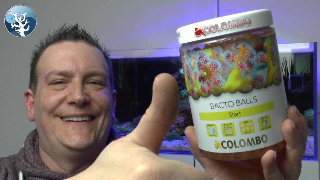 Bacto Balls von Colombo #Kurz Vorgestellt