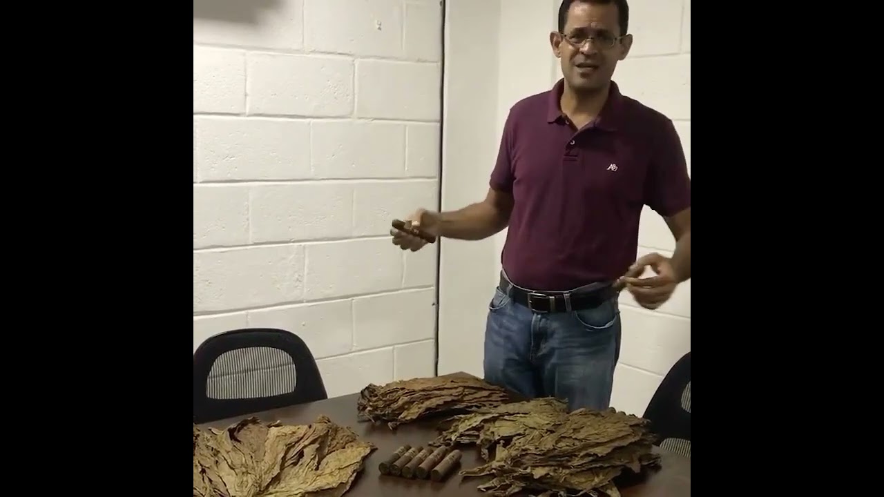 How Super Premium Cigars Are Made (Tobacco, Craft & Luxury)!