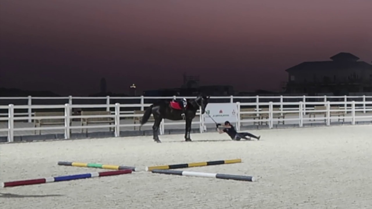Al Habtoor Polo and Equestrian Club Fails 2 Dubai