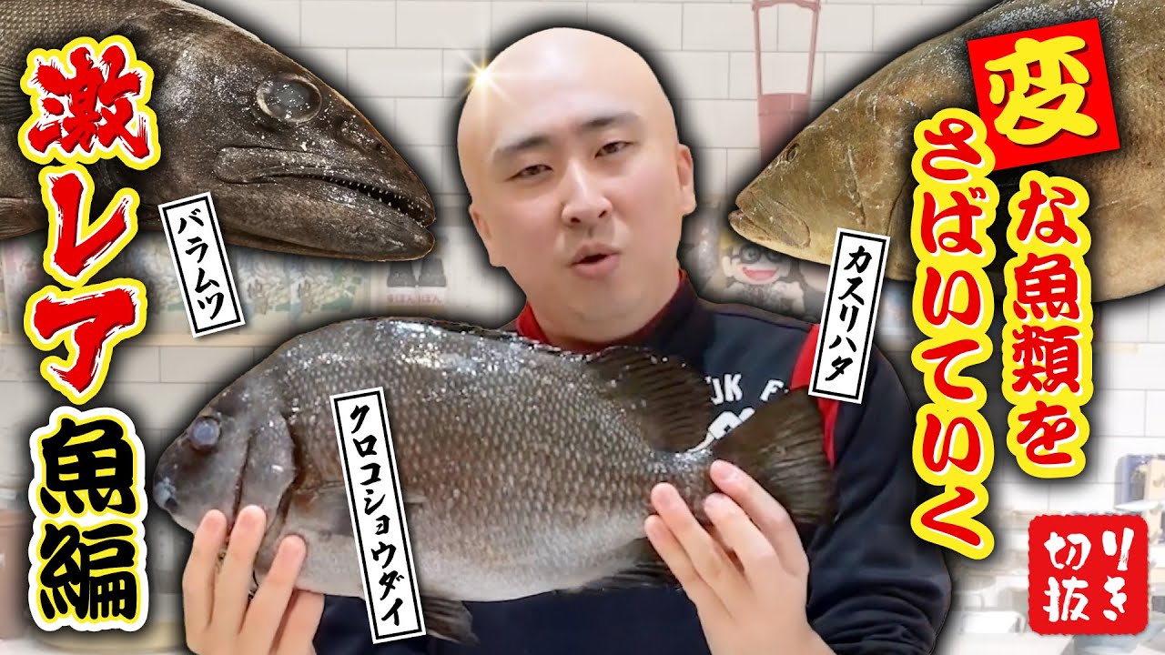 【特殊調理】変な魚類をさばいていく回！！〈激レア魚編〉