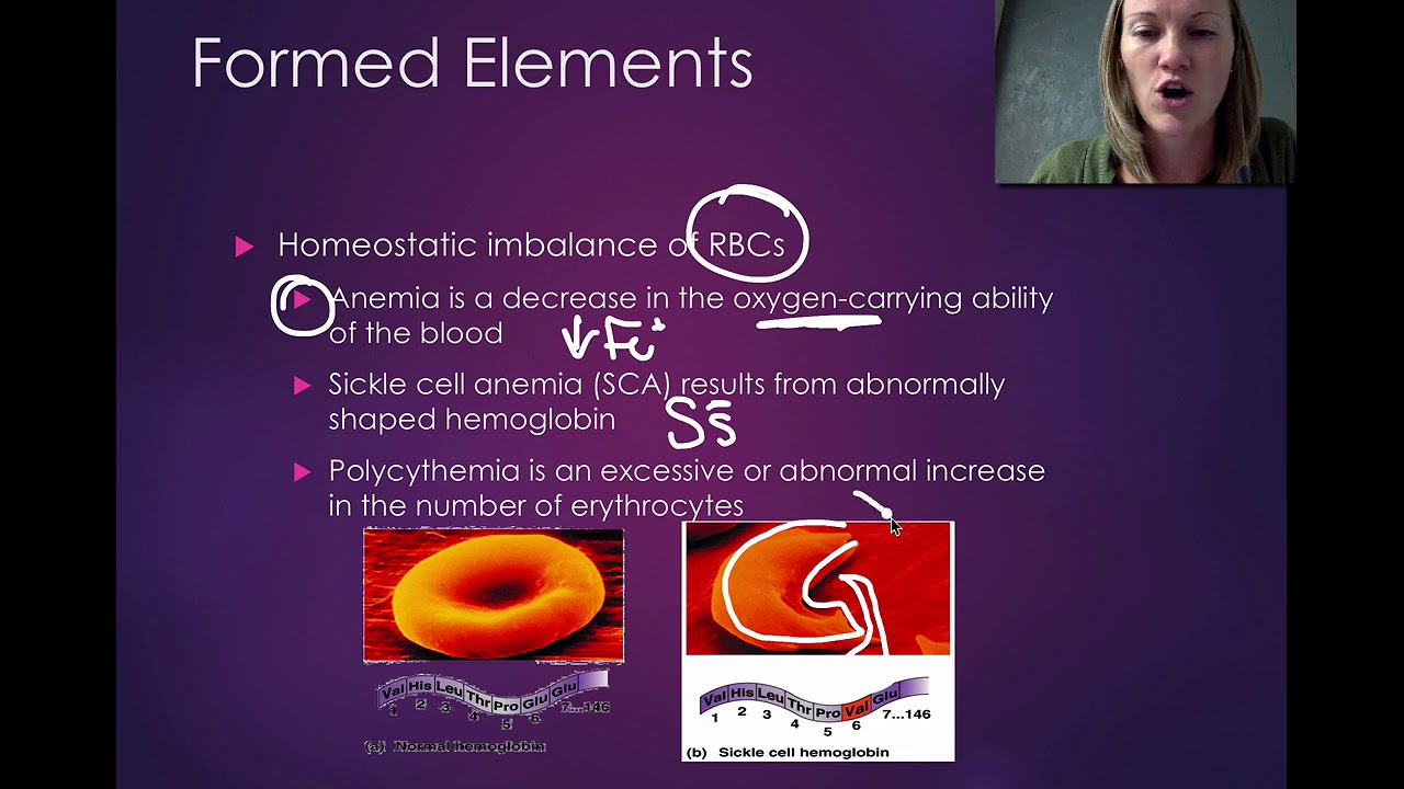 002 Formed Elements